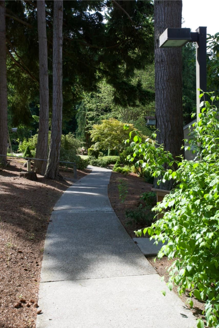 Walking trails